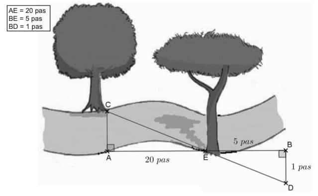 Image exercice 1 de Mathématique brevet des collèges  annales 2022