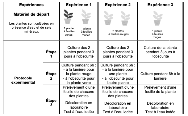 Dispositifs expérimentaux des expériences sur l'amidon